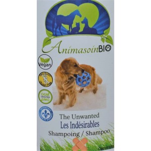 Shampoing les indésirable-chien