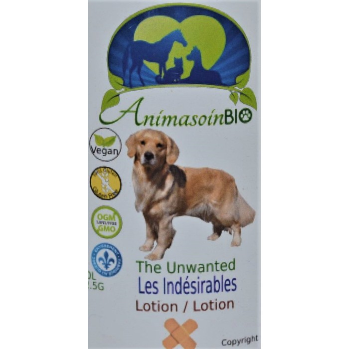 Lotion les indésirable-chien