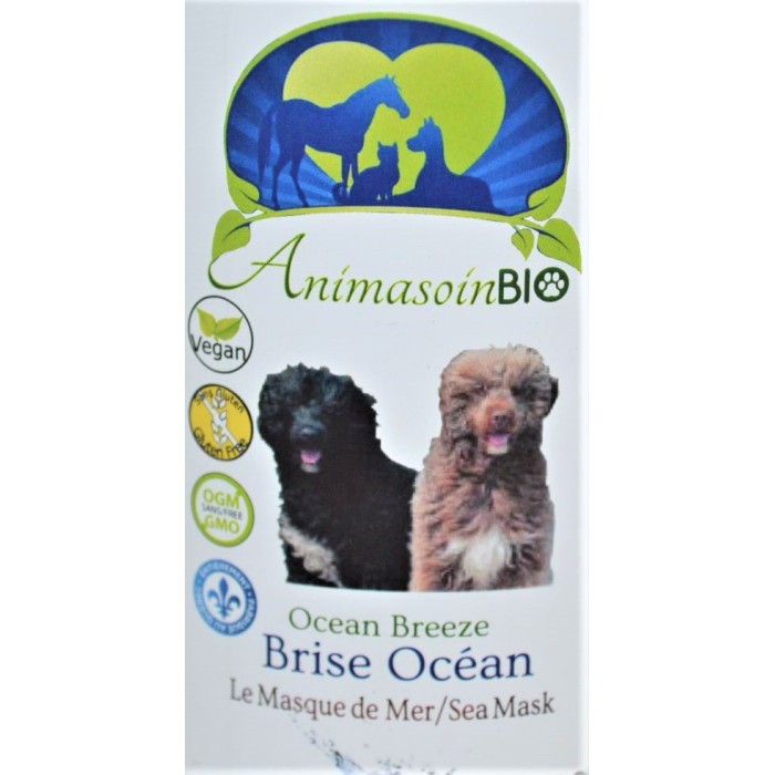 Masque brise d'océan 