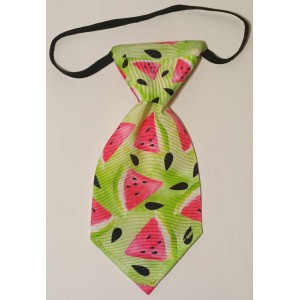 Cravates : moyen : vert melon d'eau